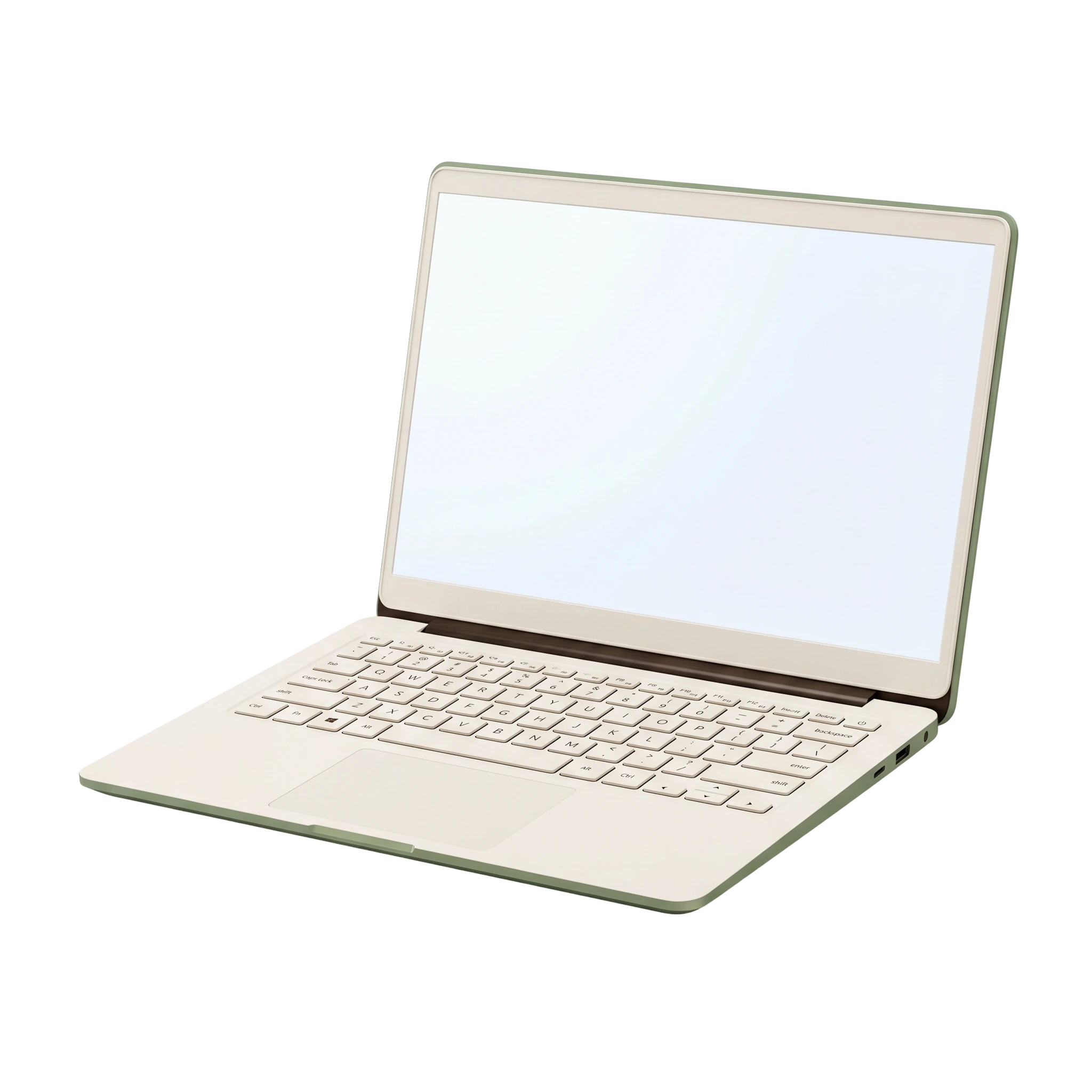 Laptop Pro